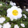 Superzachte knuffel madelief - Mini super soft daisy